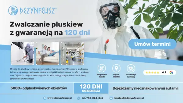 Jak pozbyć się pluskiew - Co naprawdę działa? Poznaj plan walki